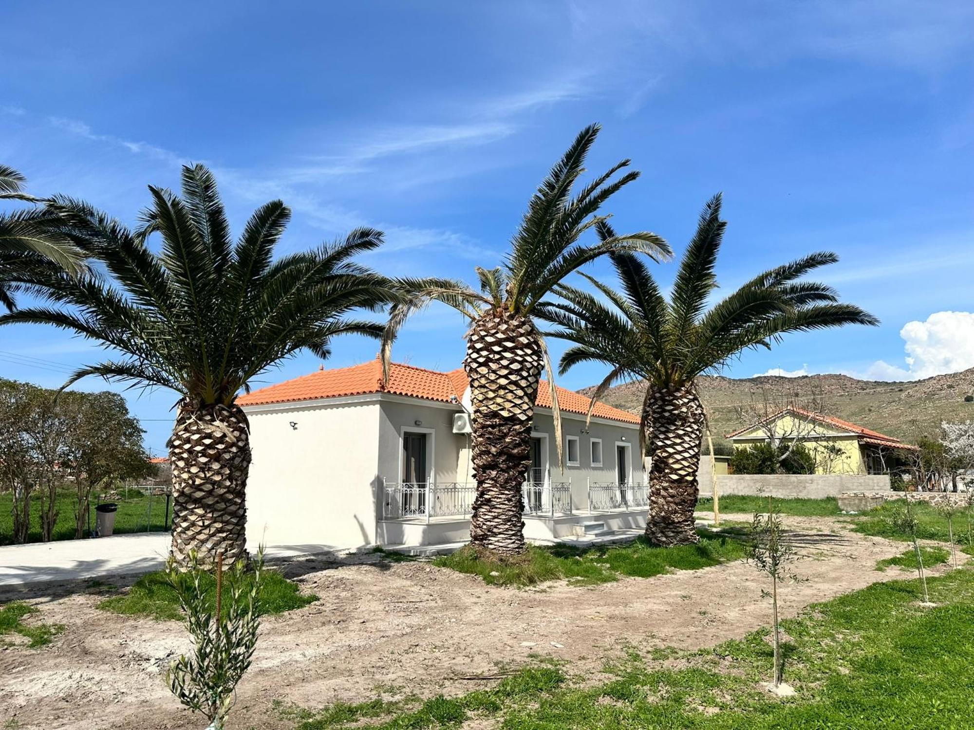 Ktimavita Apartment 1 Petra  Bagian luar foto