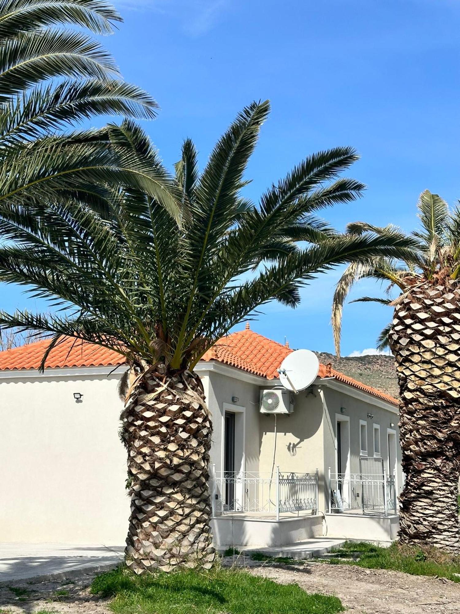 Ktimavita Apartment 1 Petra  Bagian luar foto